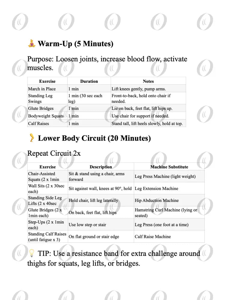 Workout Plan for 60 year old Workout Perscription